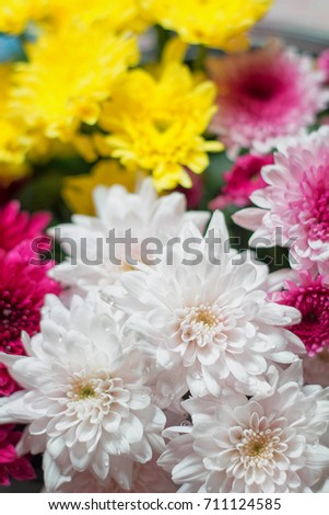 Multicolored flowers, background blurred