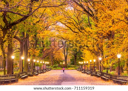 Central Park at The Mall in New York City during autumn. Royalty-Free Stock Photo #711159319