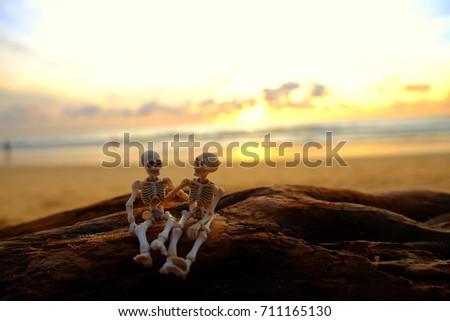 skeleton toy concept sitting on old timber at beach with sunset time
