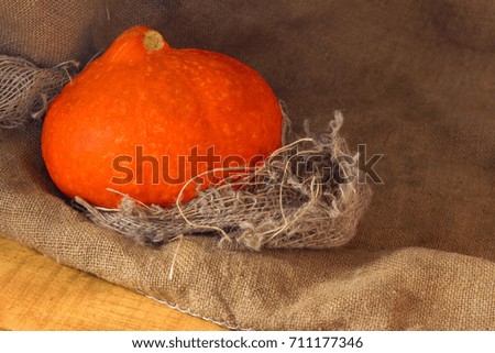 composition with pumpkins on rustick wooden background, closeup, horizontal