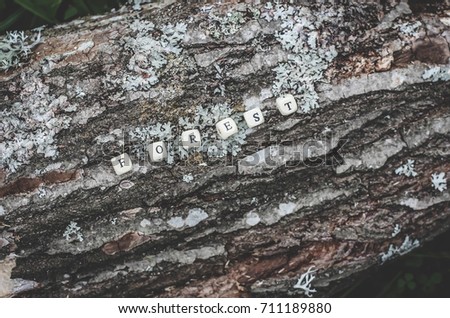 Word forest of wooden alphabet beads on a tree bark rough surface in the forest.