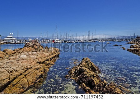 Historic Monterey Harbor and Marina; moored & anchored sailboats, yachts, & speed boats. Tourist taking pictures near restful benches & hiking / walking trails, near Fisherman’s Shoreline Park.