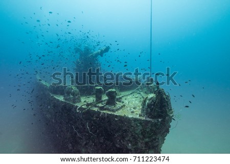 shipwreck in blue water with fish in foreground Royalty-Free Stock Photo #711223474