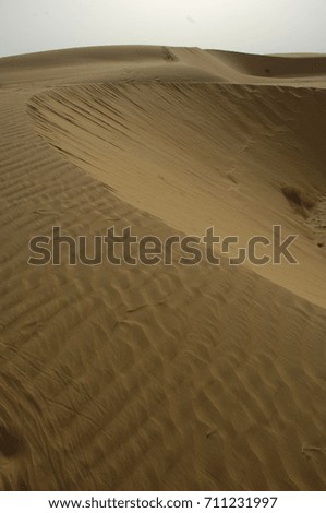 Dry sand in the desert