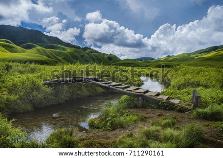 The 'Dzukou' Valley : This  valley located at the border of the states of nagaland and manipur . This valley is well known for its natural environment, seasonal flowers and flora and fauna. Royalty-Free Stock Photo #711290161