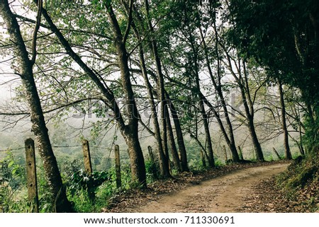 Small road through mountain forest in winter.
Paved road in the dense forest of Thailand.
Road in the jungle.
Traveling by car to tropical hills during the long weekend.