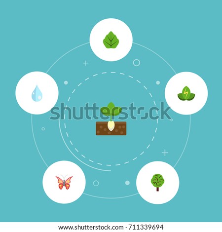 Flat Icons Eco Energy, Sprout, Wood And Other Vector Elements. Set Of Nature Flat Icons Symbols Also Includes Monarch, Sprout, Moth Objects.