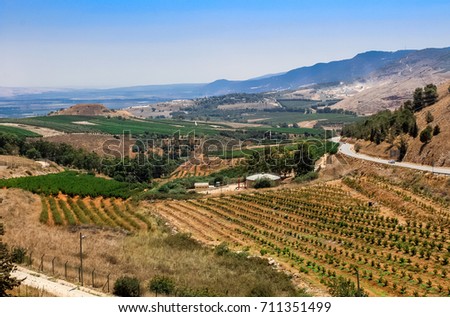 View on the young vineyard and mountains, Galilee, Israel  Royalty-Free Stock Photo #711351499