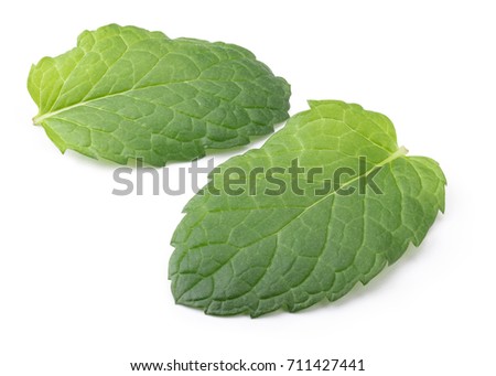 Perfect Green Mint Leaf Isolated on White Background in Full Depth of Field with Clipping Path.