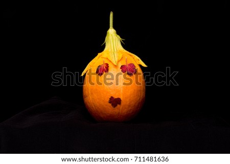 pumpkin in halloween style on isolated background