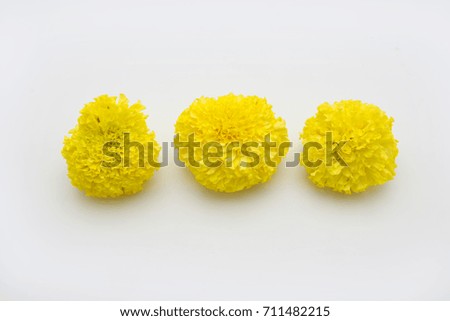 Marigold flowers on a white background.