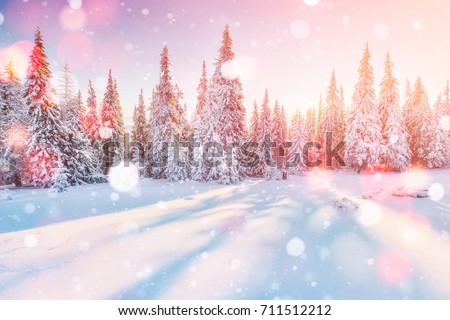 Mysterious landscape majestic mountains in winter. Magical snow covered tree. Photo greeting card. Bokeh light effect, soft filter. Carpathian  Ukraine Europe Royalty-Free Stock Photo #711512212