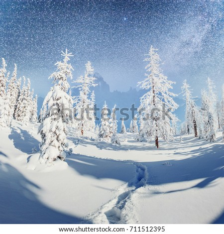 starry sky in winter snowy night. fantastic milky way in the New Year's Eve. In anticipation of the holiday. Dramatic scene. Carpathian. Ukraine.