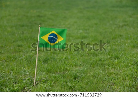 Brazil flag, Brazilian flag on a green grass lawn field background. National flag of Brazil waving outdoor