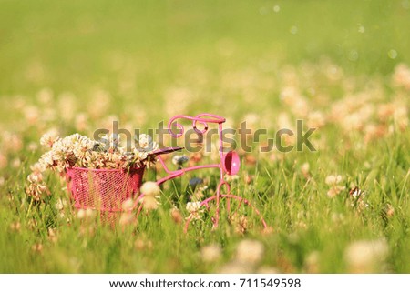 Clover flowers in the basket of a pink tricycle in the grass.