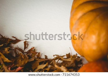 Cropped image of pumpkin by autumn leaves on white background