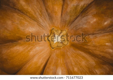 Overhead close up of pumpkin