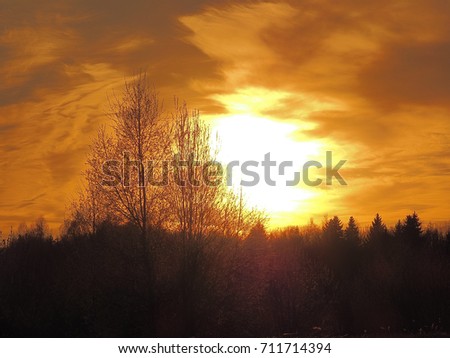 forest landscape in fiery colours with a double exposure