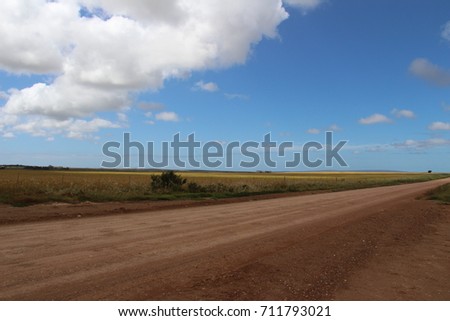 A dirt road into the deserted horizon