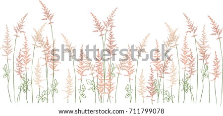 
Fluffy spikelets of blossoming Astilbe Royalty-Free Stock Photo #711799078