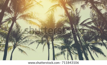 Tropical palm tree with sun light on blue sky and white cloud abstract background. Summer vacation and nature travel adventure concept. Vintage tone filter effect color style.
