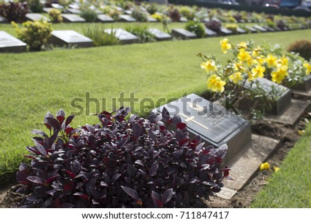 graveyard with cemetery flowers