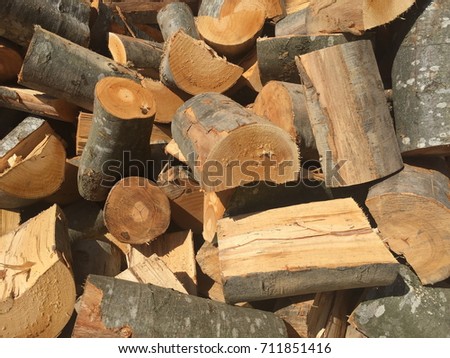 Pile of wood logs for interesting backgrounds and textures. For creative ideas.
