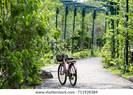 Bike in the park,public park