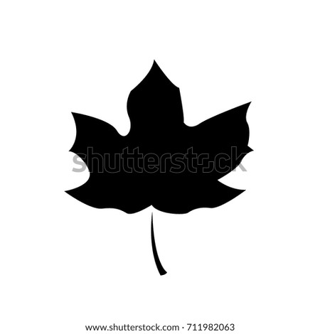 Maple leaf vector template