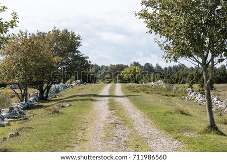 Landscape with a dirt road surrounded of old stone walls at the swedish island Oland