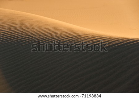 Windswept ripples on sand dunes in California's Mojave Desert