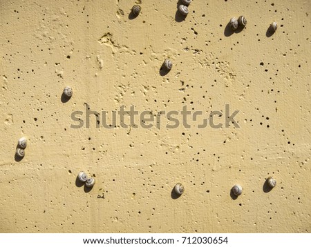 Invasion of snails on a concrete wall. Beige color painted concrete wall. Abstract background with place for text.