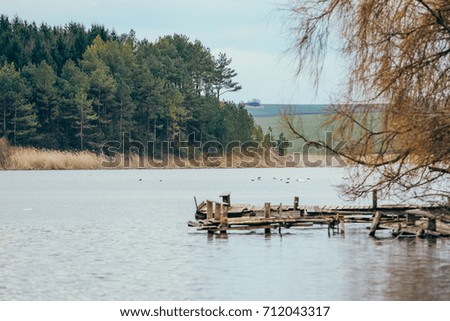 An autumn landscape with a lake and birds. Selective focus