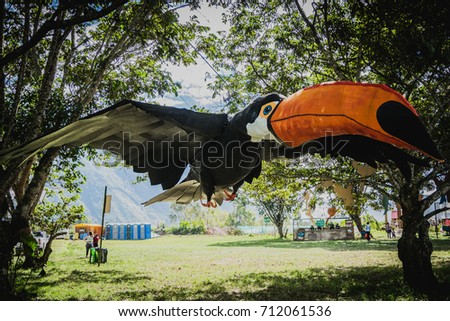Great toucan in Oxapampa