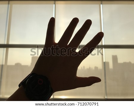 Silhouetted hand on sunlight 