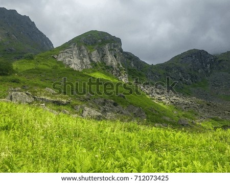 A patch of sunlight leads in to the dark and stormy mountains. Royalty-Free Stock Photo #712073425