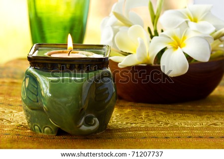 elephant candle in spa