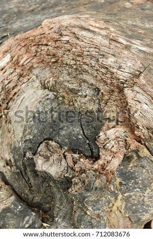 Old wooden beauty wall background and texture
