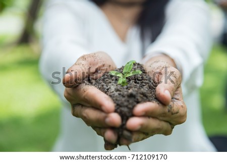 hand holding green plant on green light background
