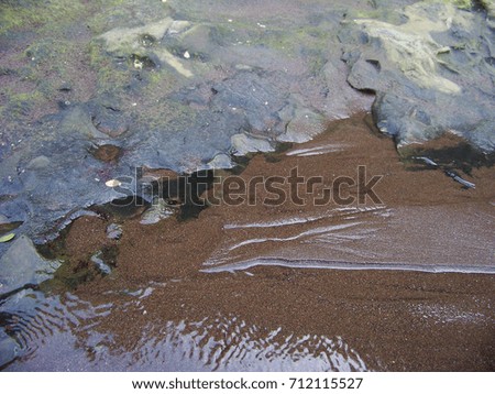 Wet sand and reef detail photo.