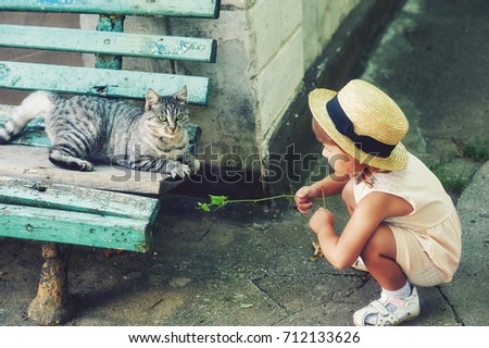 Little girl playing with a cat in the yard .Focus on the cat