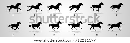 Horse Run cycle Silhouette for animation