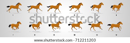 Horse Run cycle for animation