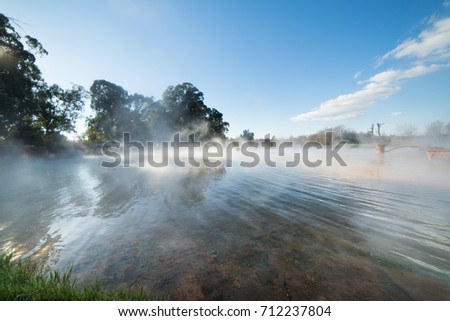 Beautiful landscape. River, trees, grass. Foggy morning, sunny day