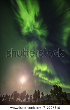 Aurora borealis corona high contrast with moon and trees