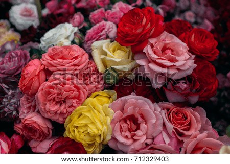 Colourful roses background, vintage effect style picture, selective focus