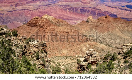 Landscape view of Grand Canyon. 
Summer in the Grand Canyon, USA, North America.