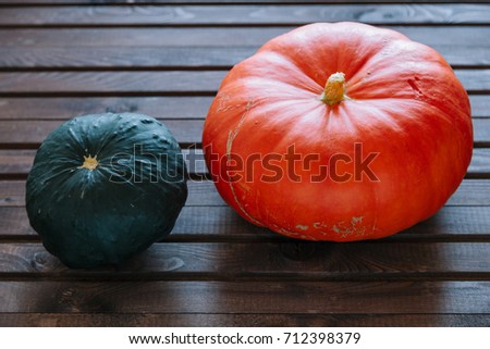 Beautiful neutral rustic colored pumpkins freshly picked from a pumpkin farm on a dark background