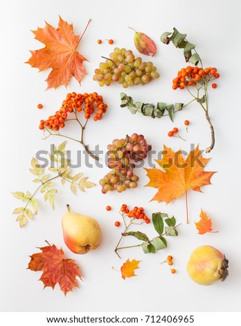 Background image of autumn harvest products on a white background. Place for text.