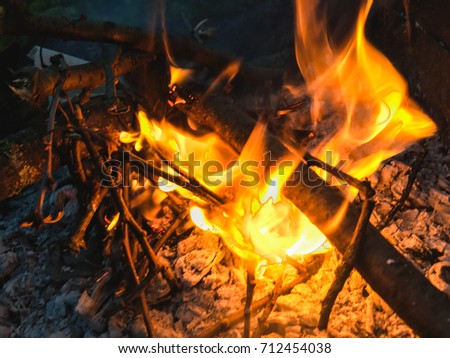 Birch wood burning in the fireplace Flames burning in the bonfire. Bonfire in the grill with smoke. Arson or natural disaster. Bonfire close. Fire in nature. Bonfire background